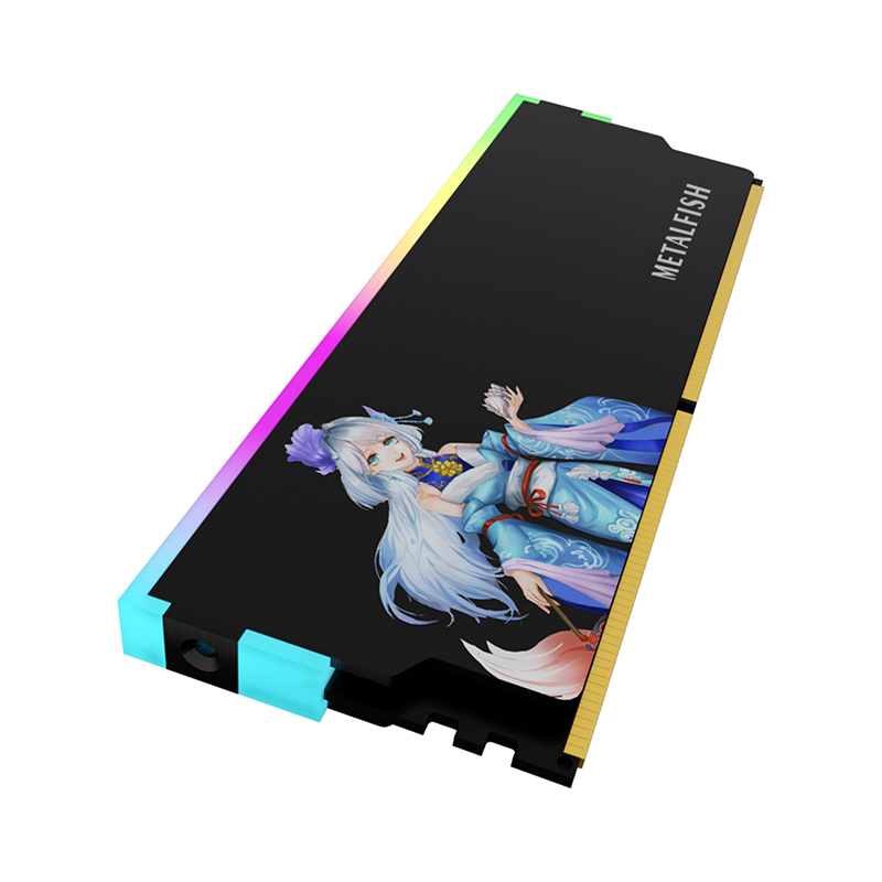 METALFISH DRAM dissipateur the - Ddr5 Memory avis et prix
